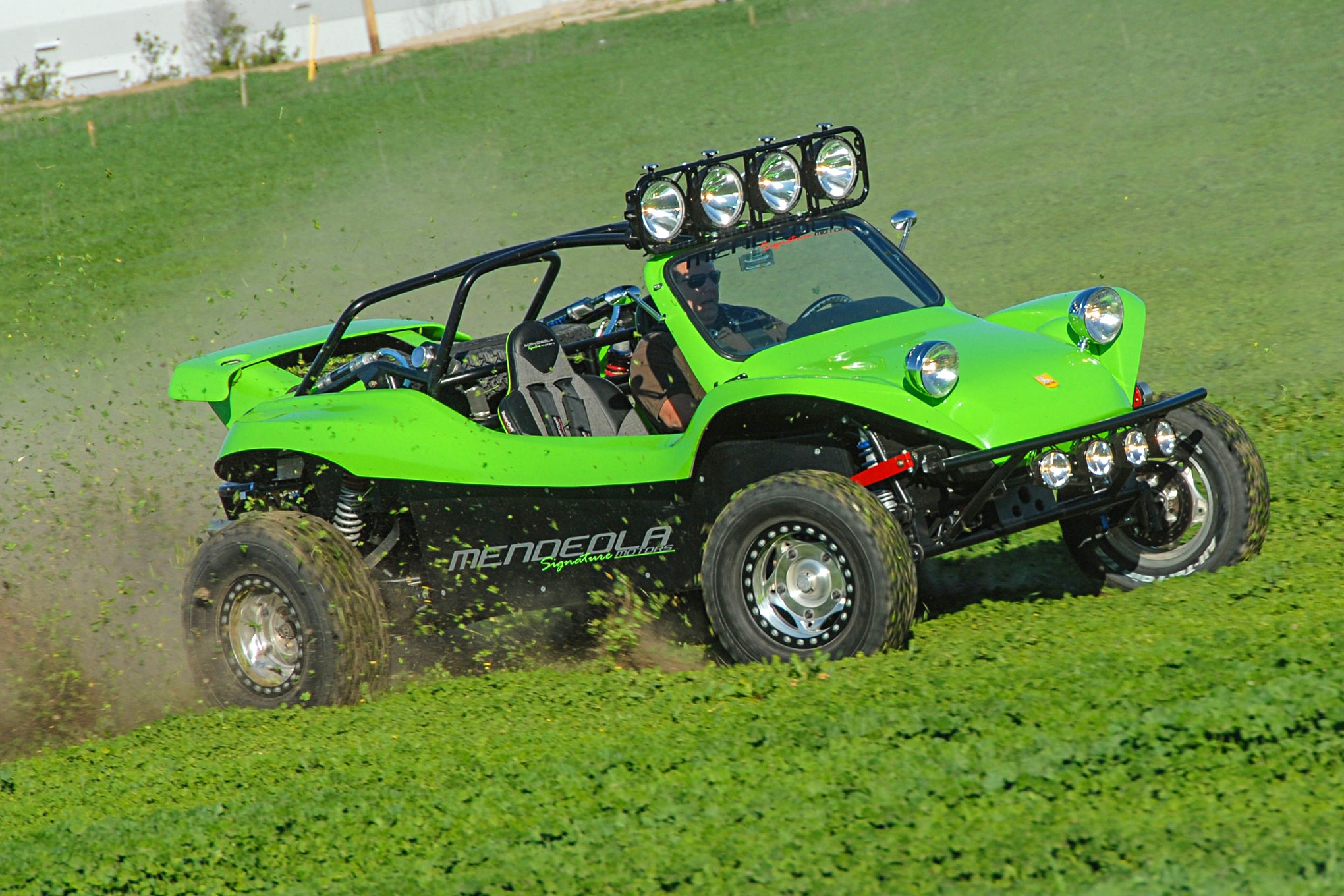 meyers manx body