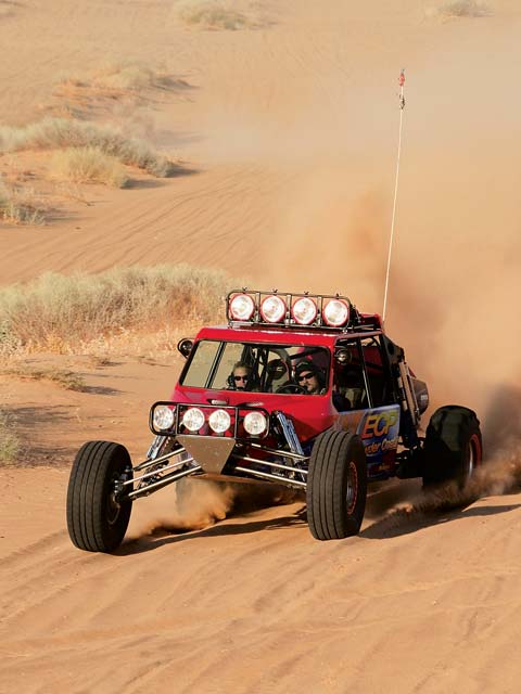 dual sport buggy for sale