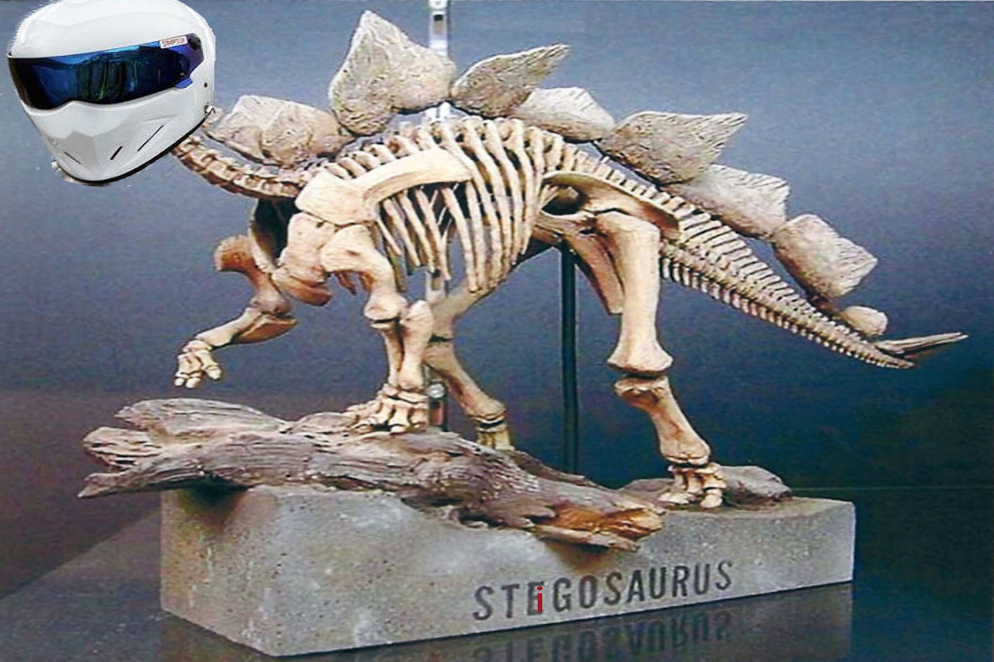 go the way of the dinosaur